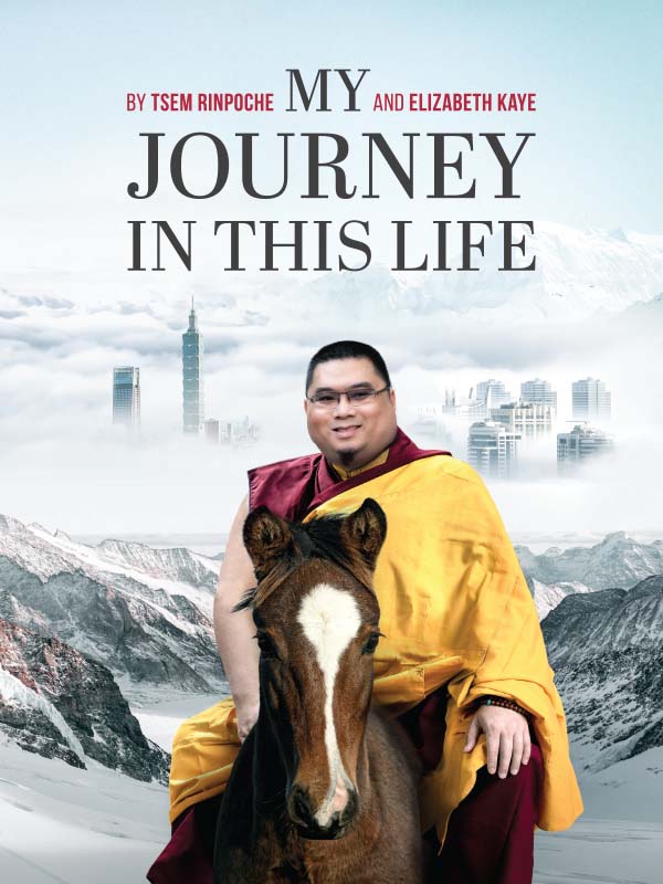 my-journey-in-this-life