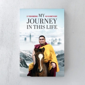 6-my-journey-in-this-life-book