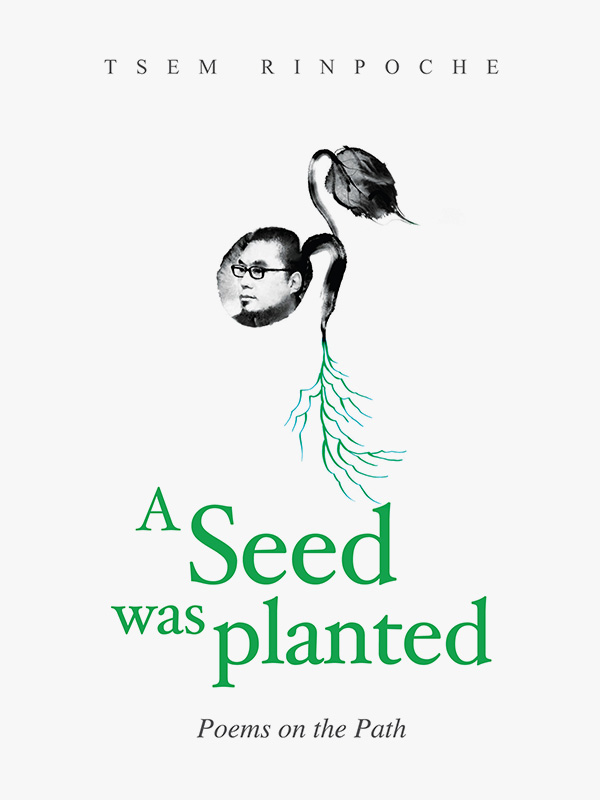 a-seed-was-planted