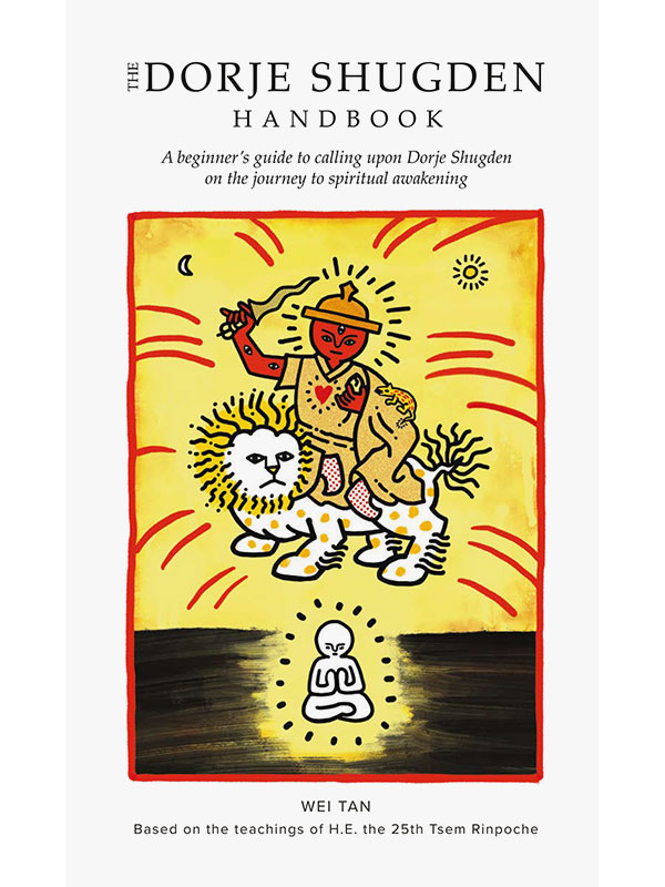 ds-handbook