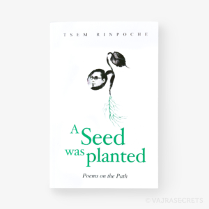 81003815-1-seed