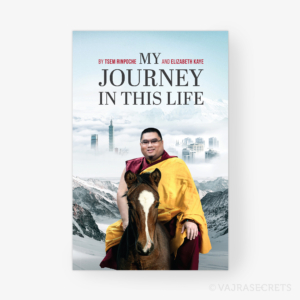 81004684-1-TR-myjourney