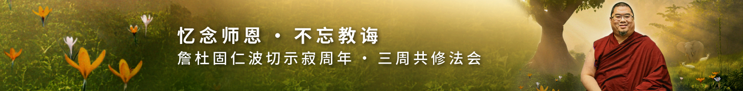 TRPA2026-ldb-desktop-cn