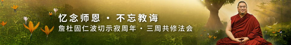 TRPA2026-ldb-mobile-cn